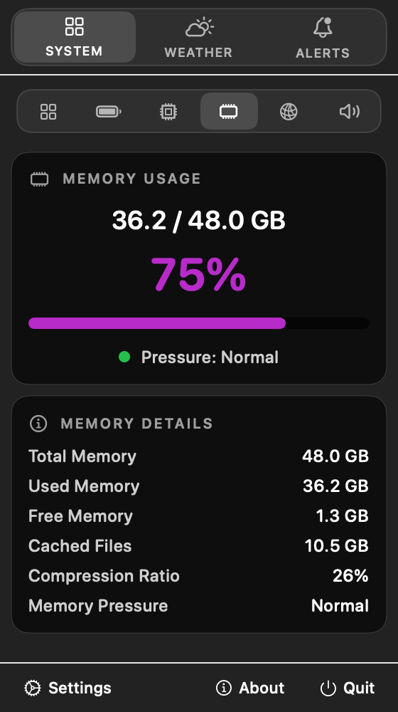 Memory Tab